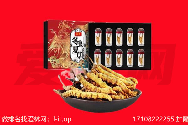 运城回收虫草.jpg